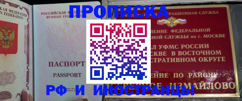 временная регистрация 2025 в Димитровграде