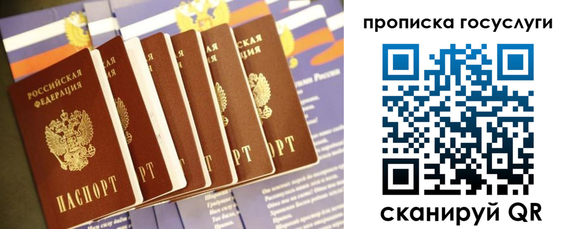 прописка иностранных граждан в Димитровграде